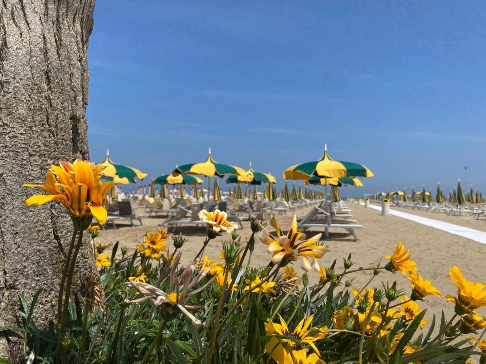 Rimini Bay Suites&Residence エクステリア 写真